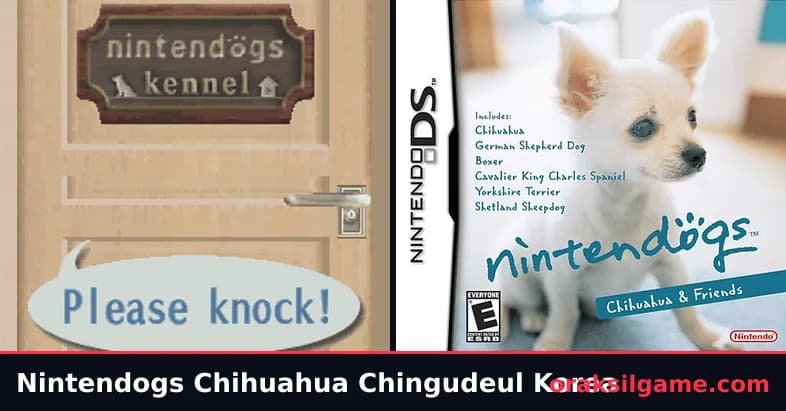 닌텐독스 치와와 친구들 기타 게임 화면 1 - 닌텐도 DS (2007)
