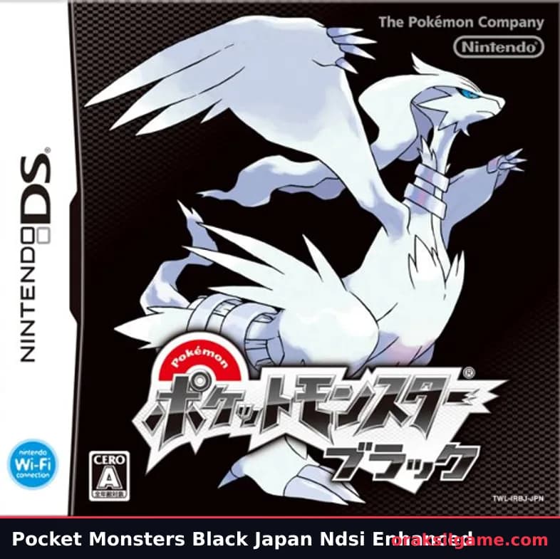 포켓몬스터 블랙 RPG 게임 화면 2 - 닌텐도 DS (2010)